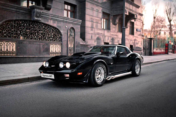 Chevrolet Corvette C3. 1979